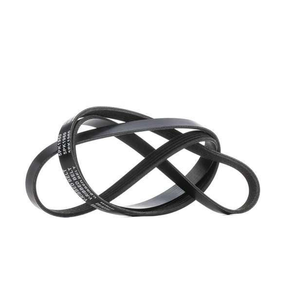 OEM Multiriem MERCEDES-BENZ 311 CDI (907.731, 907.733, 907.735) 114 PK Diesel 0039934596 van RIDEX online aan verbazingwekkende prijzen