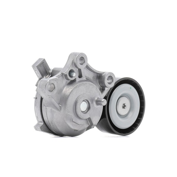 OEM Rolă curea accesorii CITROËN C3 III Van / Hatchback (SX, SY) 2024 1613255480, 1631481480, 9803757580 STARK