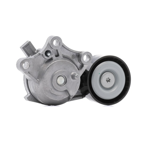 OEM Rolă întinzător curea accesorii CITROËN C3 III Van / Hatchback (SX, SY) 2023 1613255480, 1631481480, 9803757580 RIDEX