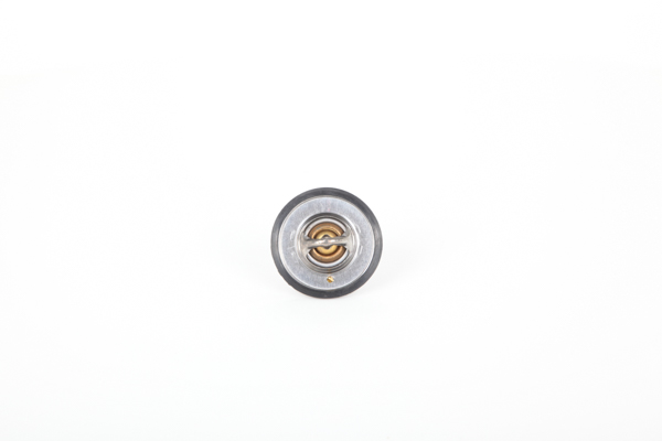 FORD 2.4 DI RWD (F_B_, F_C_, F_A_) 120 HP Diesel Thermostat OEM 1096283 from Continental online zu günstigen Preisen