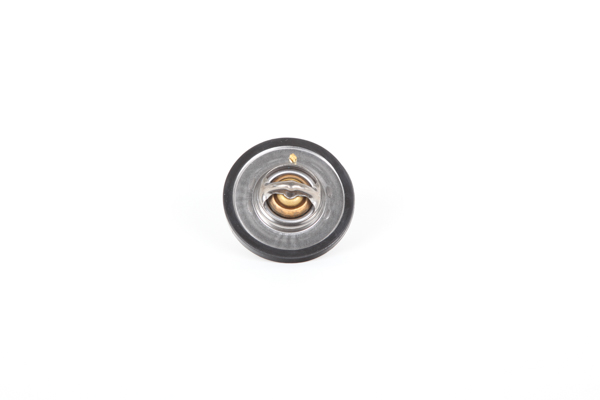 Köp billiga original Termostat, kylvätska 28.0200-4080.2 jämförbara med 255002A000 OEM nummer på nätet