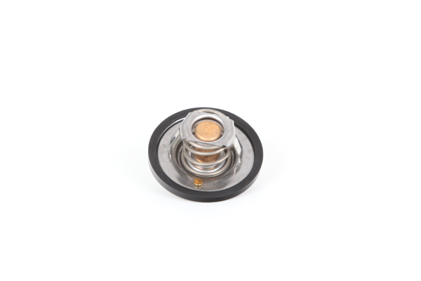 Thermostat d'eau F8DE 8575 AA