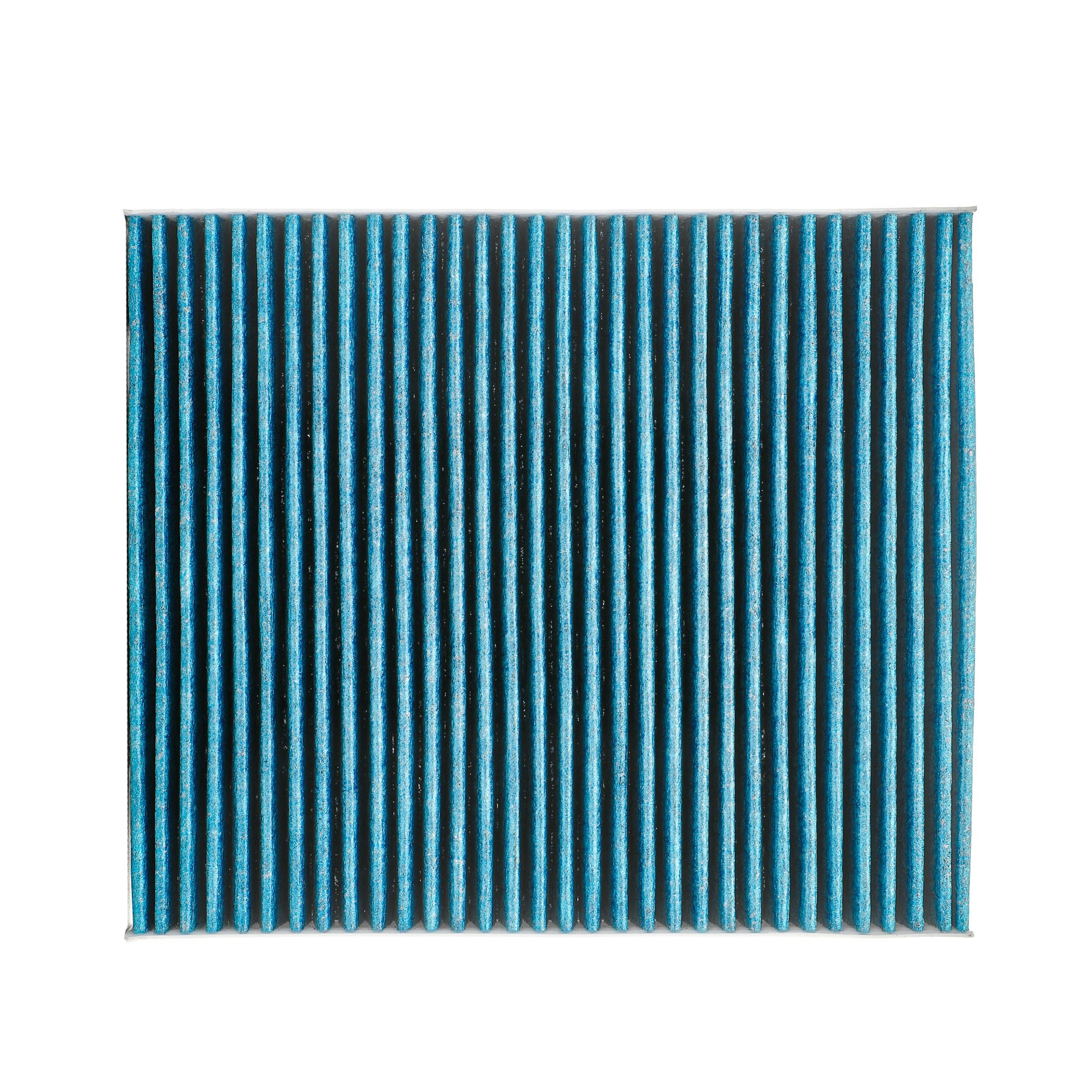 Compre RIDEX PLUS Filtro de habitáculo Número de producto: 424I0491P a bajo precio de 18,19 €