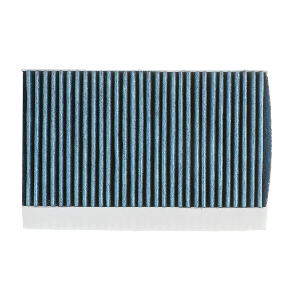 OEM Interieurfilter RENAULT 2.0 R.S. 265 PK Benzine 272773488R van RIDEX PLUS online aan geweldige prijzen