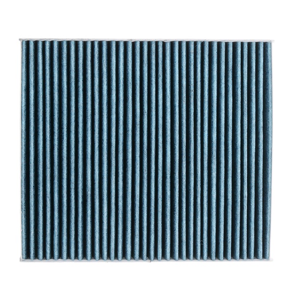 OEM Kupéfilter VW 1.4 TSi Flexfuel 150 hk Bensin/etanol 2Q0819644 från RIDEX PLUS på nätet till fantastiska priser
