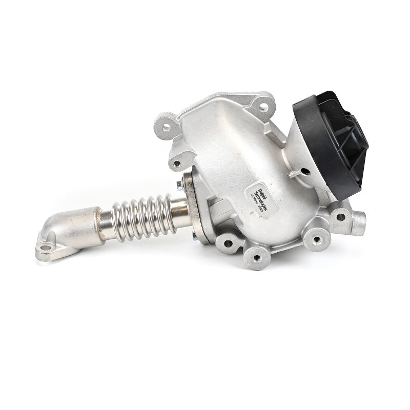 OEM EGR klep MERCEDES-BENZ 311 CDI 4x4 (903.612, 903.613, 903.622, 903.623) 109 PK Diesel 6110900354 van DELPHI online aan geweldige prijzen