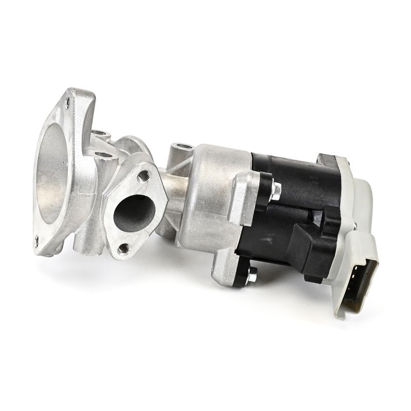 Įsigykite DELPHI ERG vožtuvas Prekės Nr.: EG10640-12B1 už žemiausią 115,58 € kainą