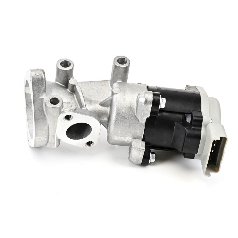 Įsigykite DELPHI ERG vožtuvas Prekės Nr.: EG10641-12B1 už žemiausią 156,57 € kainą