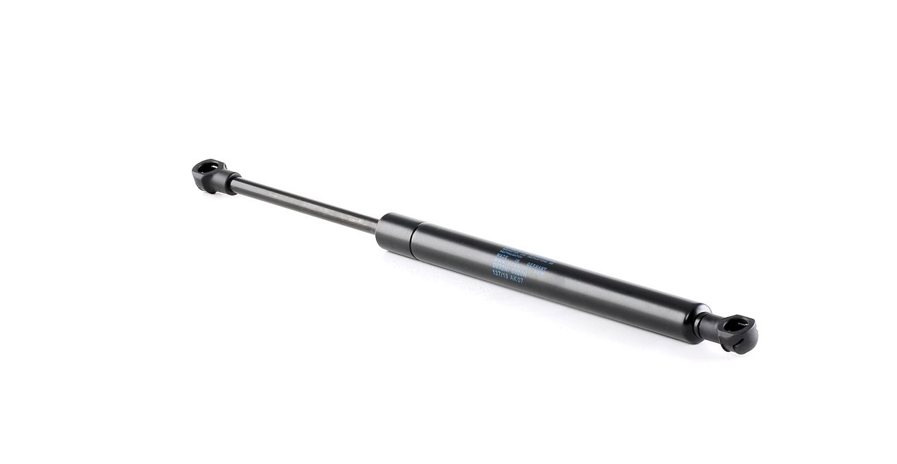Įsigykite FEBI BILSTEIN Dujinė spyruoklė, bagažinė Prekės Nr.: 12349 už žemiausią 22,59 € kainą