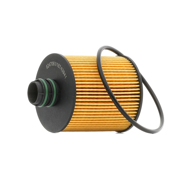 OEM Olejový filtr FIAT 2.0 JTD 4x4 170 HP Diesel 00650111 od RIDEX PLUS online za výborné ceny