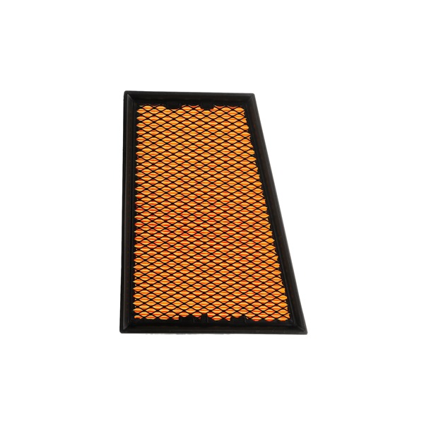 OEM Luchtfilter RENAULT 1.2 TCe (DZ16, DZ28) 132 PK Benzine 165465086R van RIDEX PLUS online aan geweldige prijzen