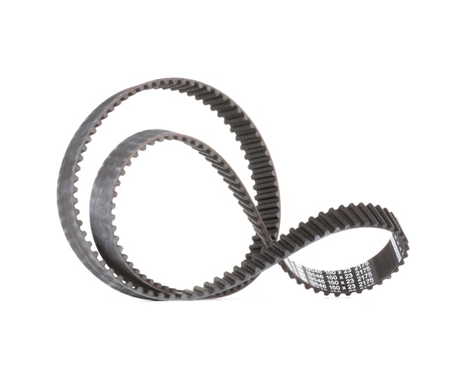 OEM Kamrem VW 1.8 T 20V 150 hk Bensin 06B109119A från FEBI BILSTEIN på nätet till fantastiska priser