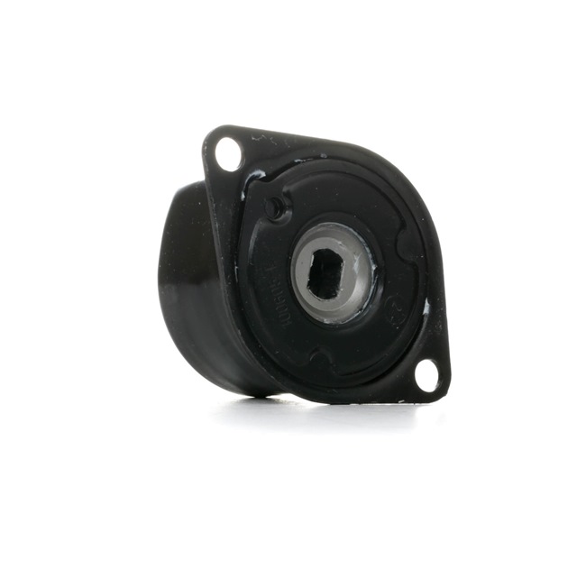 OE Napenjalec jermena, rebrasti jermen VW TRANSPORTER 2018 044903315C, 074903315, 074903315B od FEBI BILSTEIN