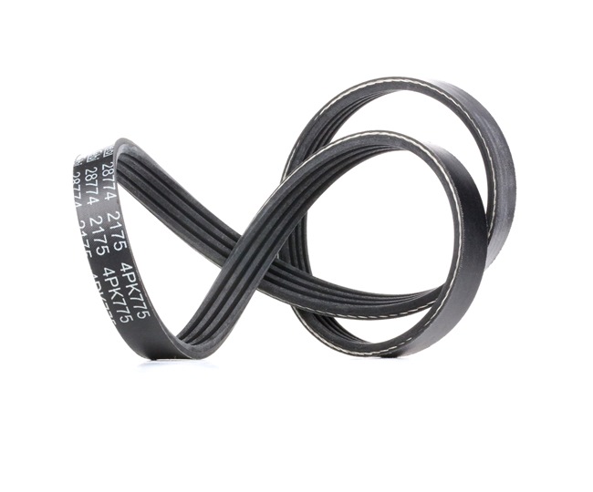 OEM Пистов ремък Maxima 5 A33 1997 117202600, 1195031U00, 1195031U01 FEBI BILSTEIN