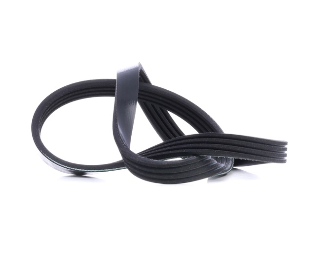 OEM Keilrippenriemen SUZUKI 1.2 VVT 83 PS Benzin 01854725 von FEBI BILSTEIN online zu attraktiven Preisen
