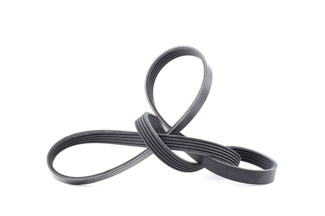Koop online goedkoop originele Multiriem 28879 vergelijkbaar met 038903137H OEM-nummers