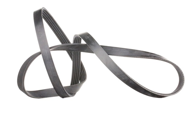 Compre Correa trapecial poli V 28881 original asequible comparable con números OEM online 55556430