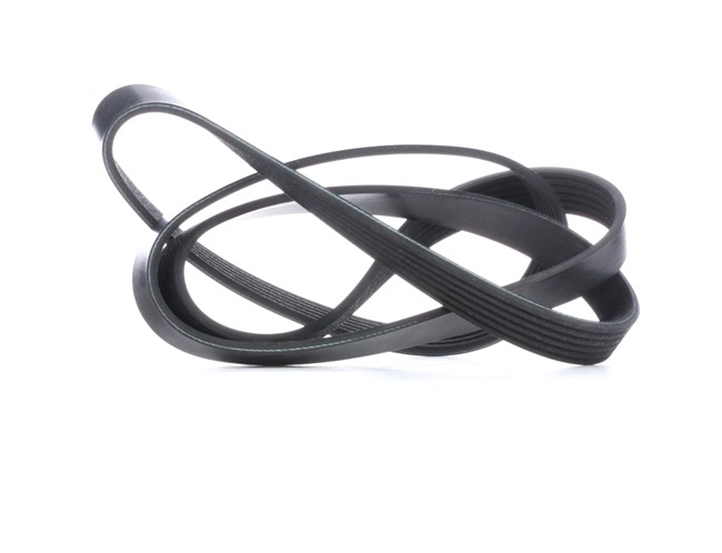OE LEXUS LM 2025 Poly V-belt 11281469261, 11281735190, 11281738645 from FEBI BILSTEIN
