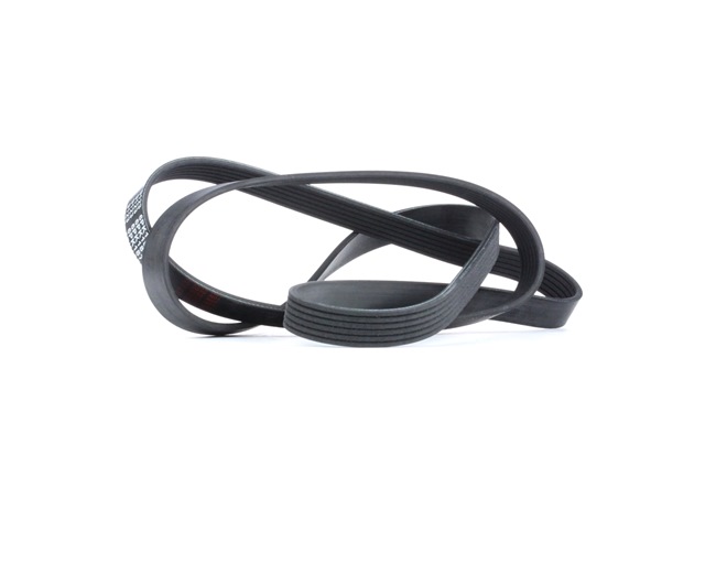 Compre Correa trapecial poli V 28986 original asequible comparable con números OEM online 03E260849A