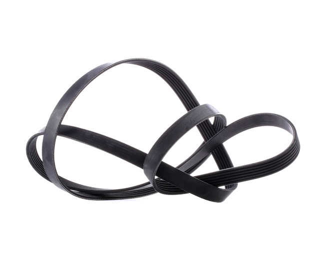 Koop online goedkoop originele Multiriem 29013 vergelijkbaar met 0029935496 OEM-nummers