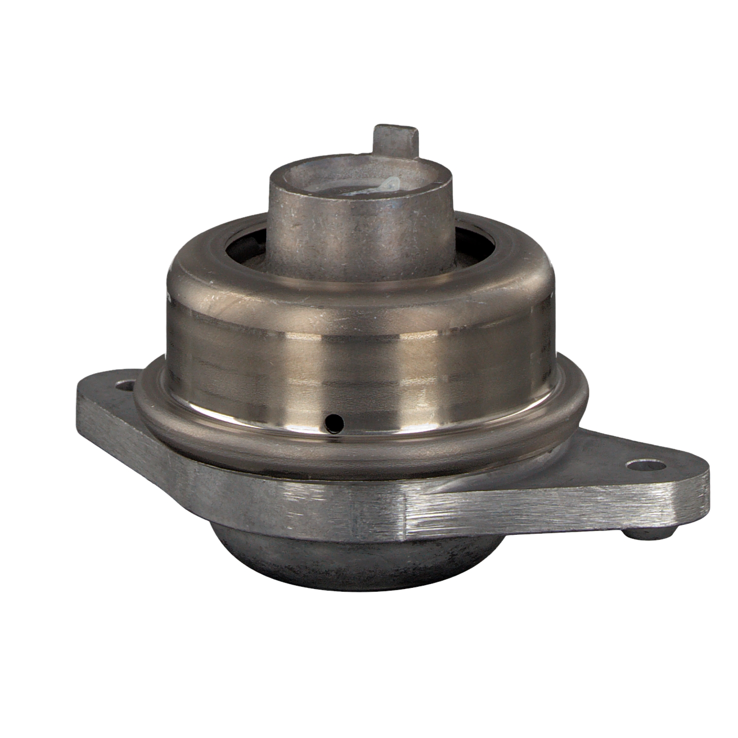 Įsigykite FEBI BILSTEIN Variklio montavimas Prekės Nr.: 29512 už žemiausią 90,10 € kainą
