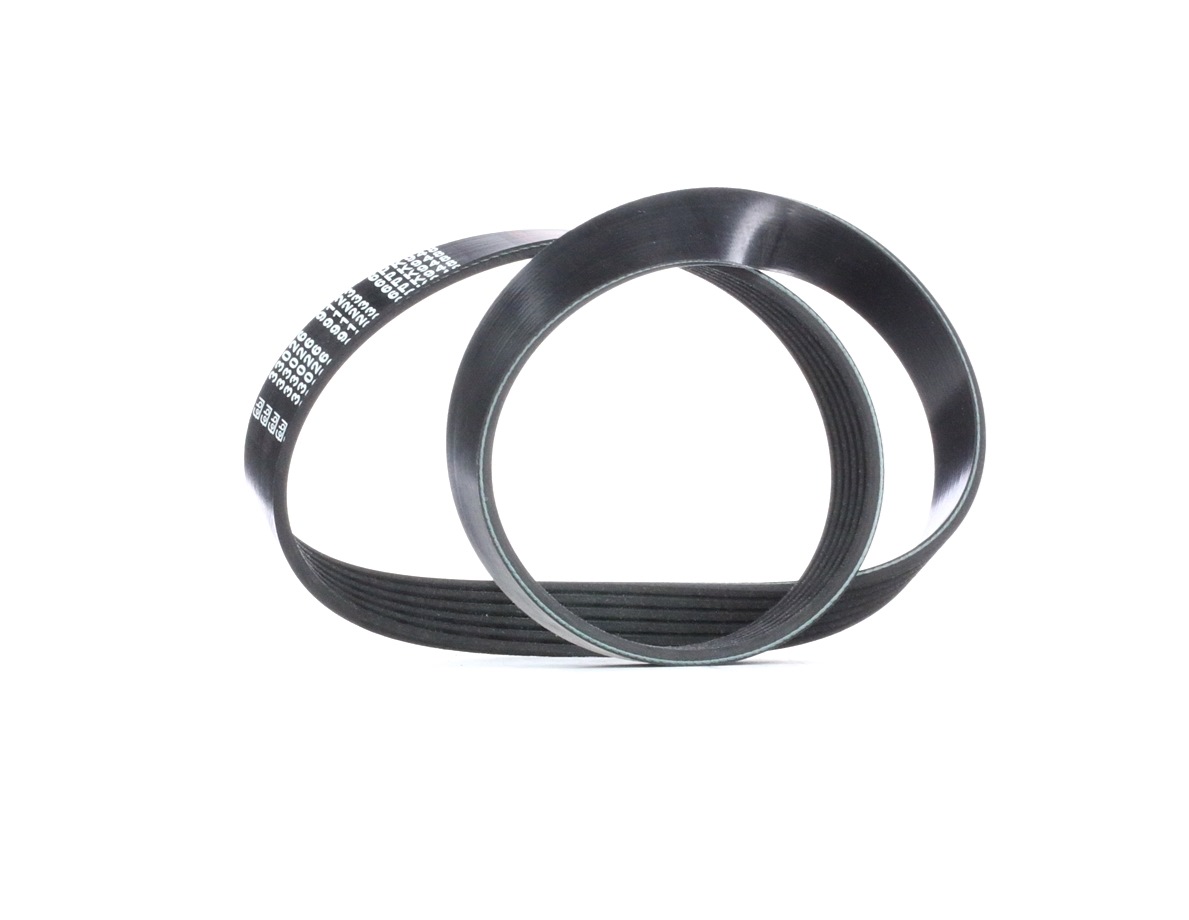FEBI BILSTEIN 33026 Courroie Poly-V