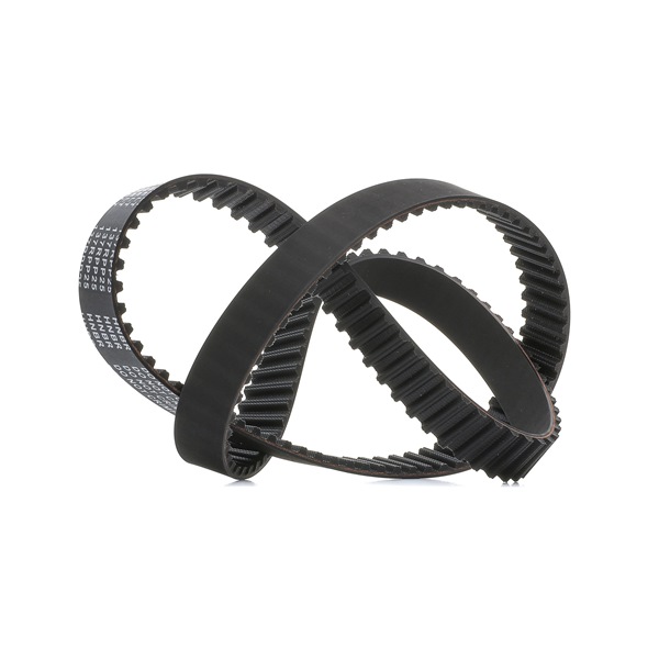 Buy cheap original Timing Belt 306T0010P comparable with 0816G7 OEM numbers online