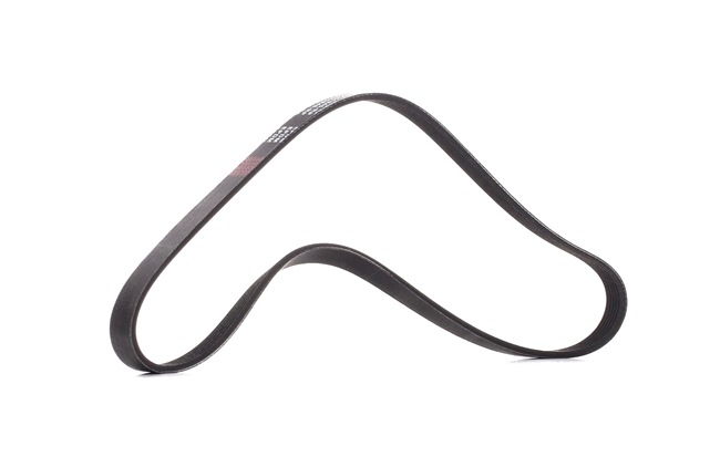 Kupte si levné originální Ozubený klínový řemen 305P0054P porovnatelné s 06F260849E OEM čísly online