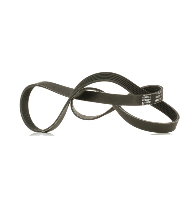 Acquista online Cinghia servizi 305P0144P originale a buon mercato, comparabile con i numeri OEM 5750T6