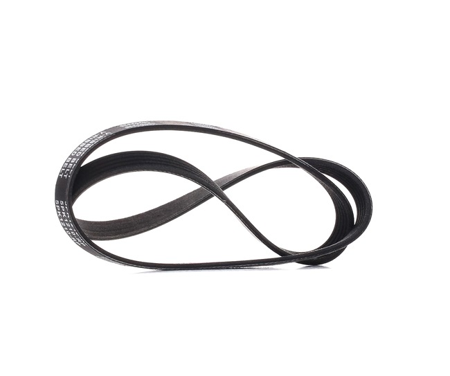 OEM Correia trapezoidal estriada OPEL 1.6 (F08, F68) 84 CV Gasolina 04723288 de RIDEX PLUS online a preços excelentes