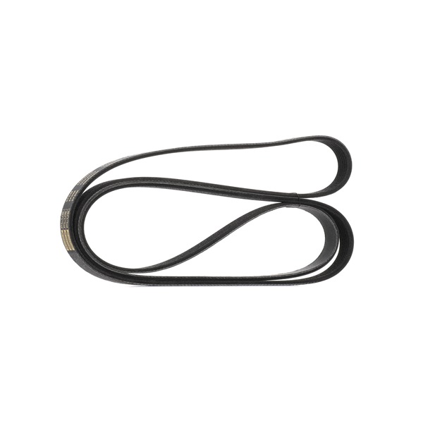 Buy cheap original Serpentine belt 305P0096P comparable with YF0915908 OEM numbers online
