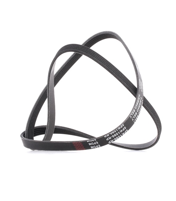 Compre Correa trapecial poli V 305P0042P original asequible comparable con números OEM online 55556430