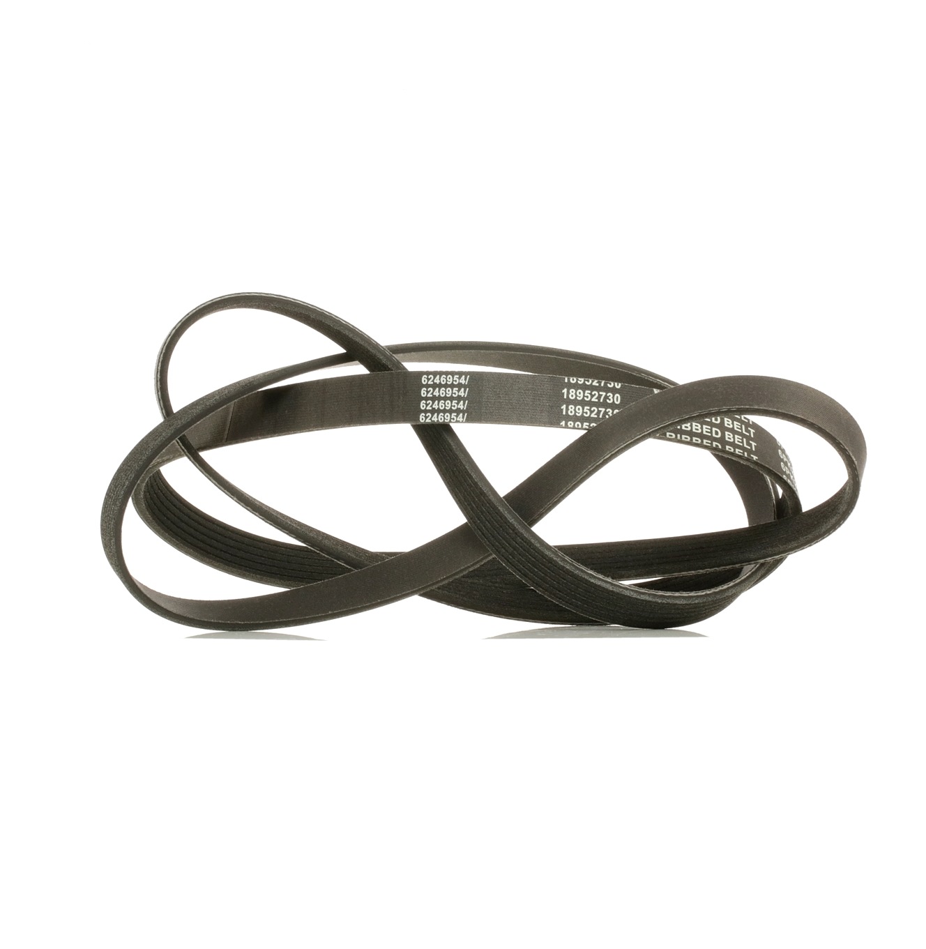 RIDEX PLUS 305P0162P Courroie Poly-V
