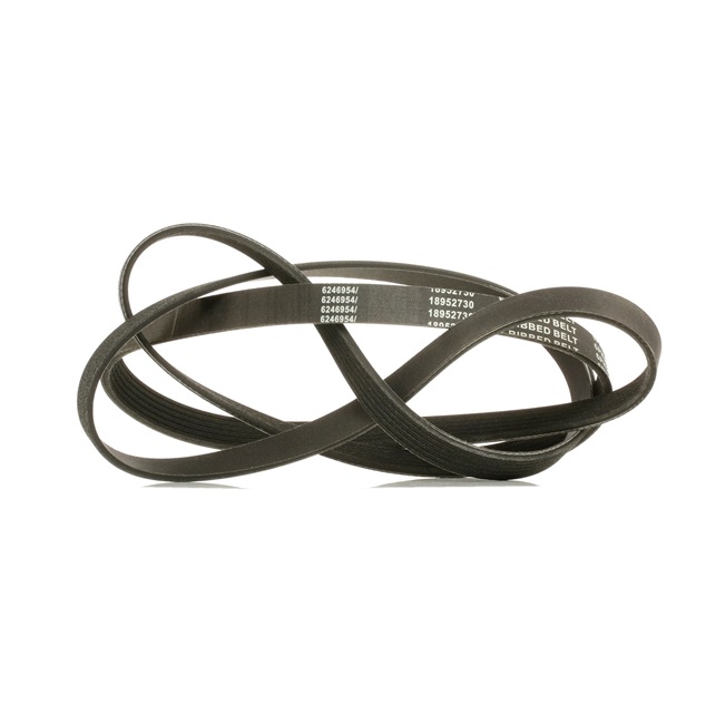 Acquista online Cinghia servizi 305P0162P originale a buon mercato, comparabile con i numeri OEM A0149971192
