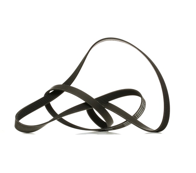 Acquista online Cinghia servizi 305P0343P originale a buon mercato, comparabile con i numeri OEM 0039938596