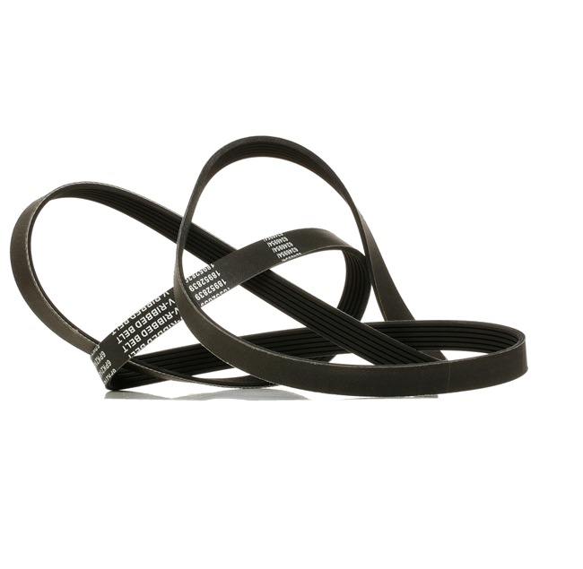 Kupite poceni originalno Rebrasti jermen 305P0178P, primerljivo z 53013352AC OEM številke, prek spleta