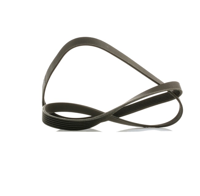 OEM Ιμάντας poly-V VW 2.8 V6 Syncro/4motion 193 PS Βενζίνη 0119973692 από την RIDEX PLUS ηλεκτρονικά σε χαμηλές τιμές