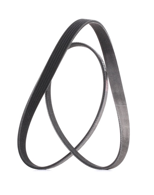 Compre Correa trapecial poli V 305P0393P original asequible comparable con números OEM online 71746482