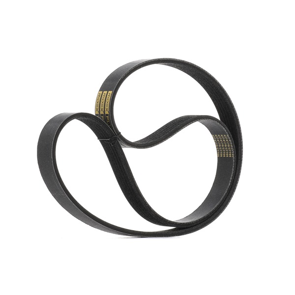 OEM Cinghia servizi FORD 1.6 Flexifuel 120 CV Benzina/Etanolo 1141317 da RIDEX PLUS online ad un ottimo prezzo