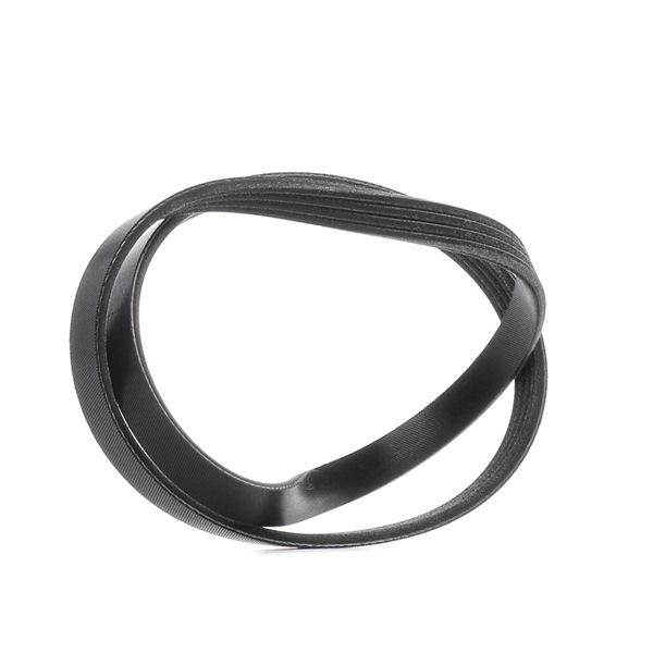 Kupte si levné originální Ozubený klínový řemen 305P0644 porovnatelné s 71739621 OEM čísly online