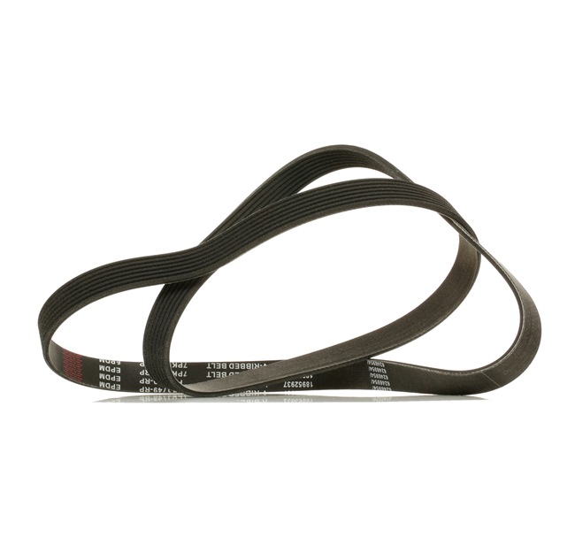 Kupite poceni originalno Rebrasti jermen 305P0344P, primerljivo z 117205X00A OEM številke, prek spleta