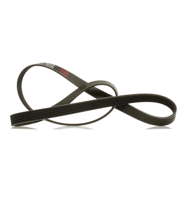 OEM Пистов ремък FIAT 1.6 D Multijet 120 K.C. дизел 036145933AR от RIDEX PLUS онлайн на супер цени