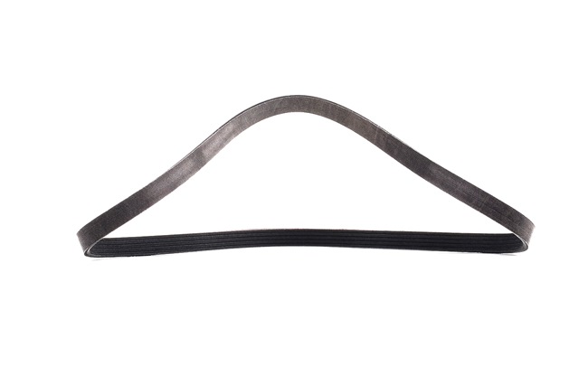OEM Pasek klinowy wielorowkowy ALFA ROMEO 2.0 (164A2C) 138 KM benzyna 11288573418 od RIDEX PLUS online w świetnych cenach