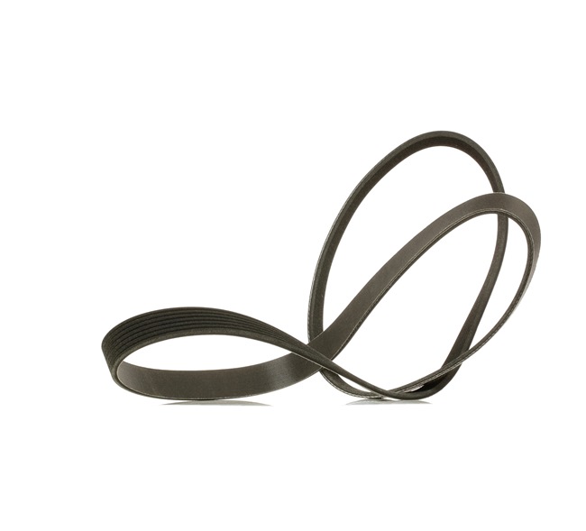 OEM Multiriem RENAULT 1.2 TCe (DZ16, DZ28) 132 PK Benzine 11281736986 van RIDEX PLUS online aan geweldige prijzen