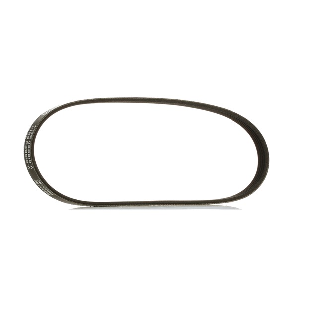 OEM Serpentine belt FORD 1.6 ROCAM 95 HP Petrol 1143407 from RIDEX PLUS online at great prices