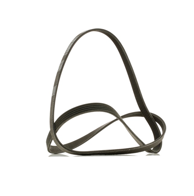 OEM Correia trapezoidal estriada OPEL 2.0 OPC (F08, F48) 192 CV Gasolina 09117587 de RIDEX PLUS online a preços excelentes