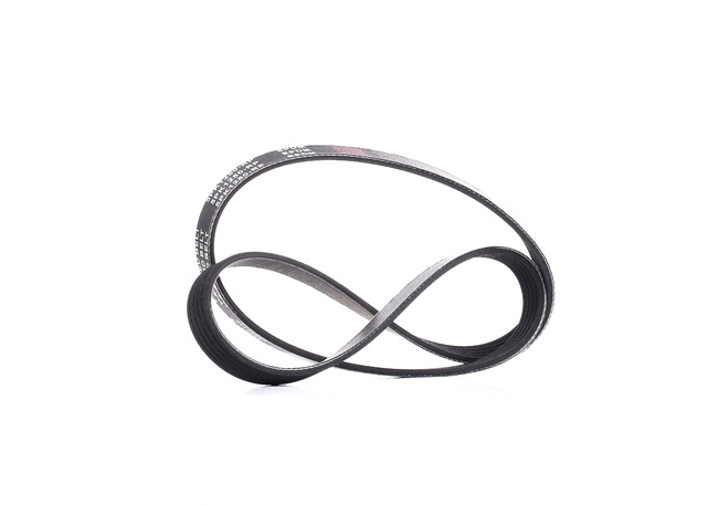 Kupite poceni originalno Rebrasti jermen 305P0159P, primerljivo z 1340650 OEM številke, prek spleta