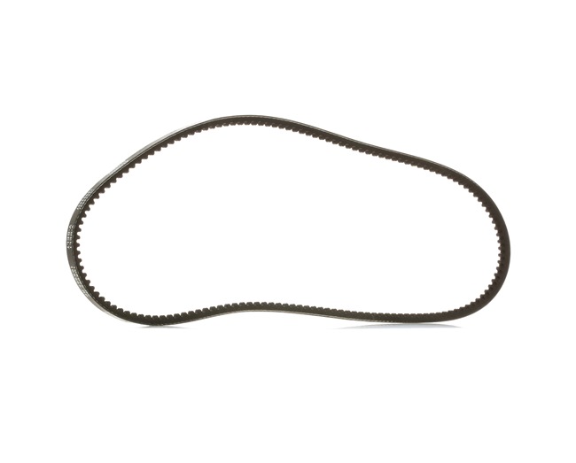 OE VW 411/412 V-Belt 0079974392, 021903137A, 035145271J from RIDEX PLUS - reduced prices