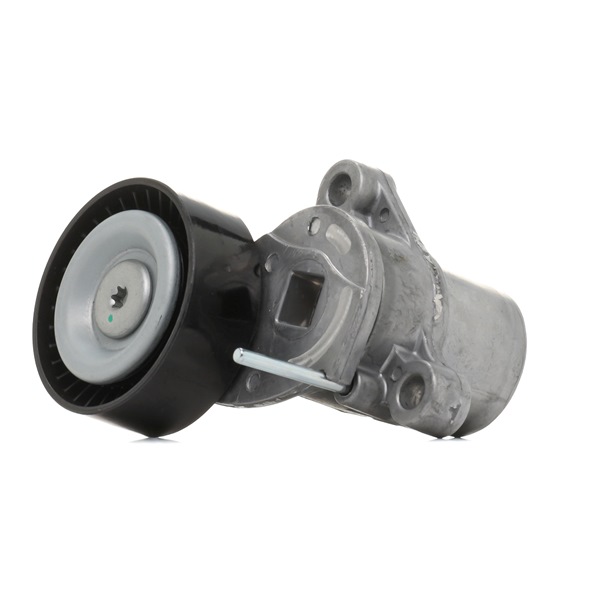 Acquista online Rullo tenditore cinghia Poly-V 310T0667 originale a buon mercato, comparabile con i numeri OEM 2431347