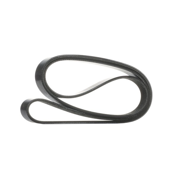 OEM Serpentine belt FORD 1.0 65 HP Petrol 1761929 from RIDEX online at great prices